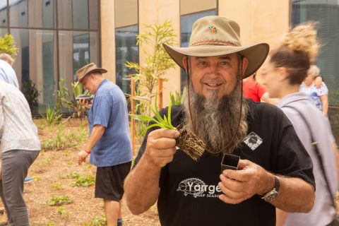 Native community garden created at Tweed Valley Hospital